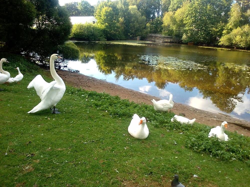 Photograph by Ольга Коркина