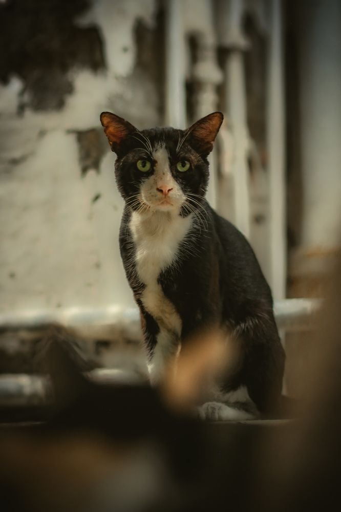 Photograph by Ghulam Hasnain