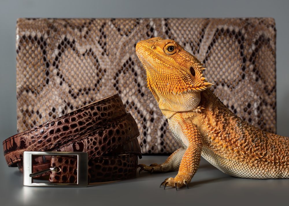 Photograph by Максим Кукурунд