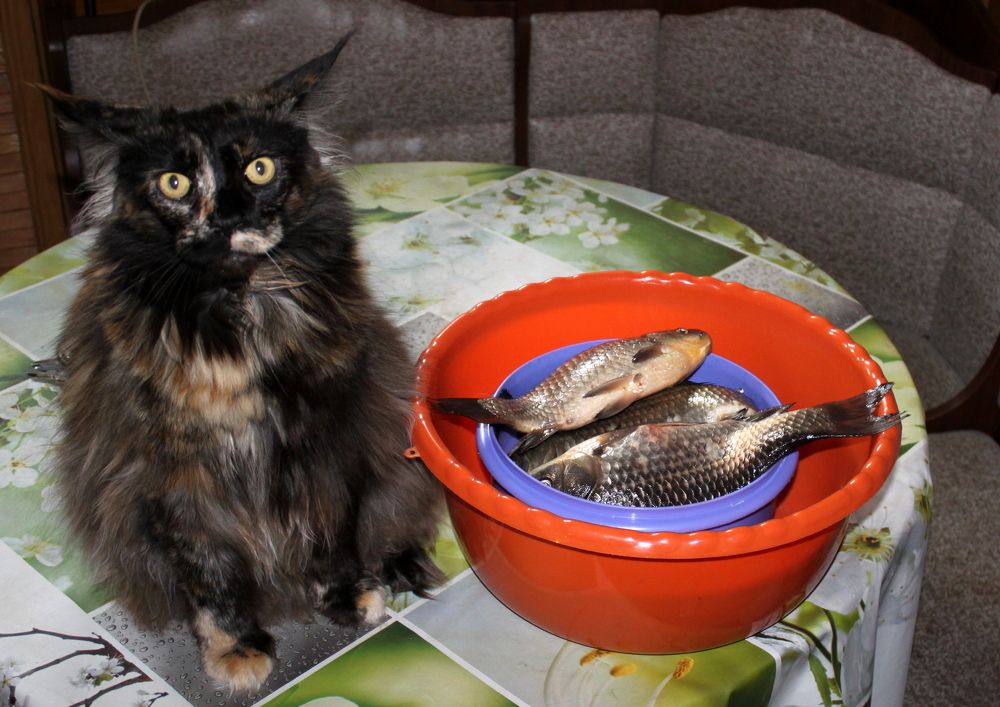 Photograph by Глеб Кузьминых