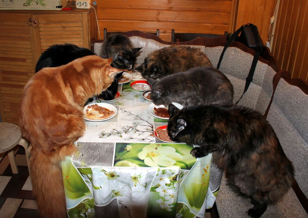 Photograph by Глеб Кузьминых