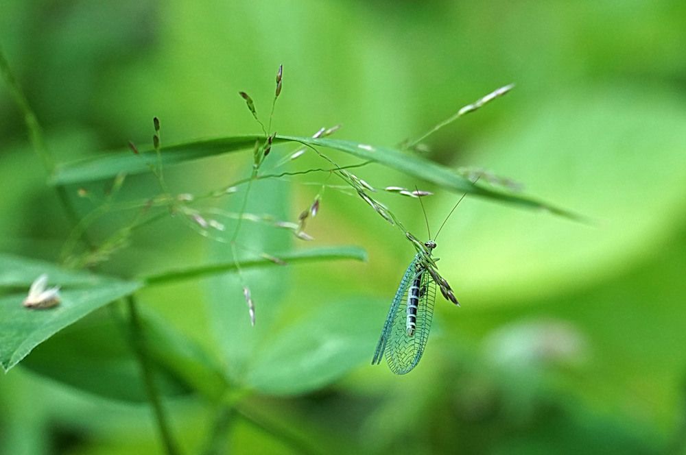 Photograph by Галина Кан