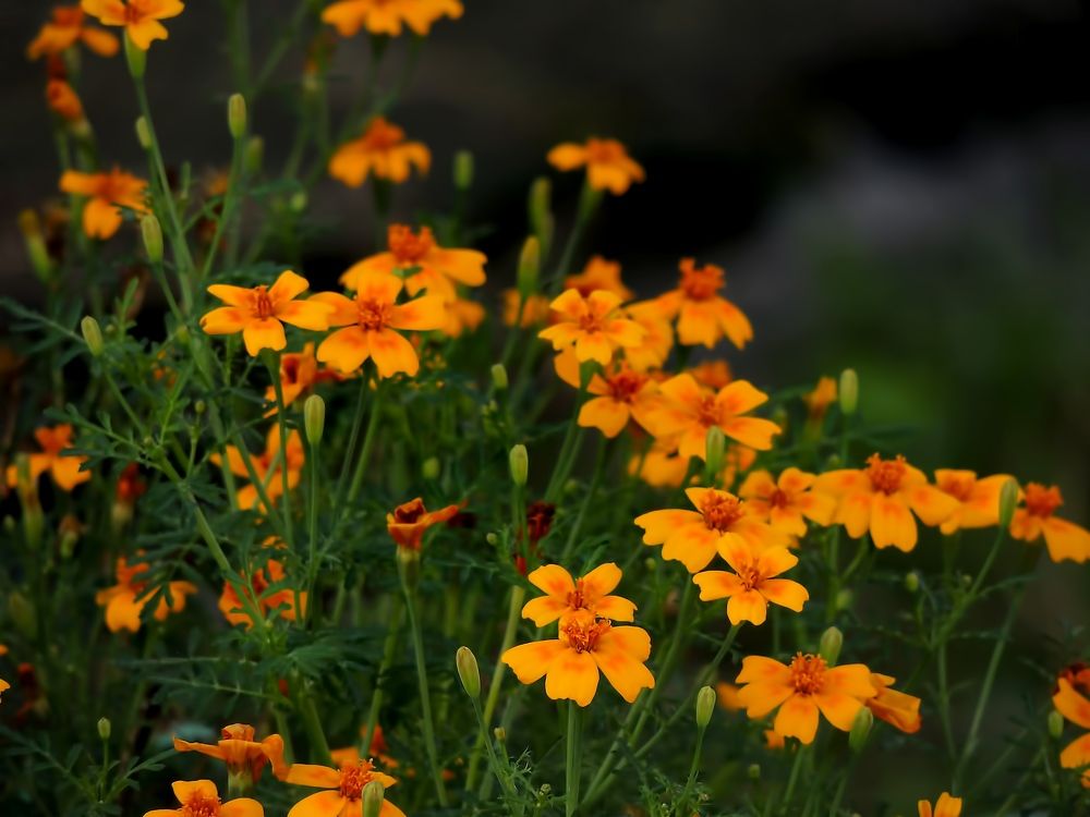 Photograph by Савоцкий Роман