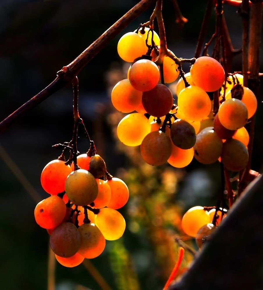 Photograph by Савоцкий Роман