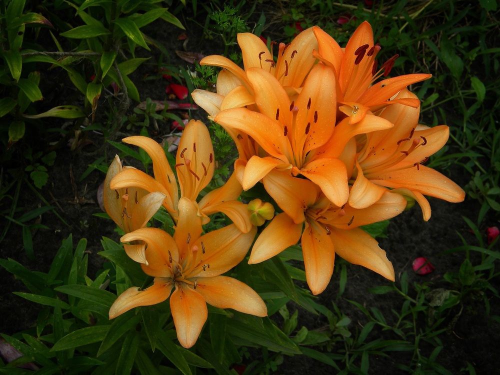 Фотография автора Роман Савоцкий