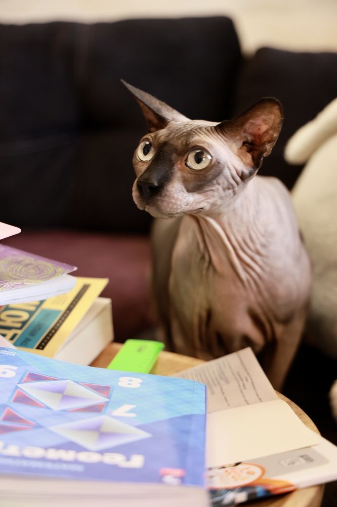 Photograph by Евгения Казакова