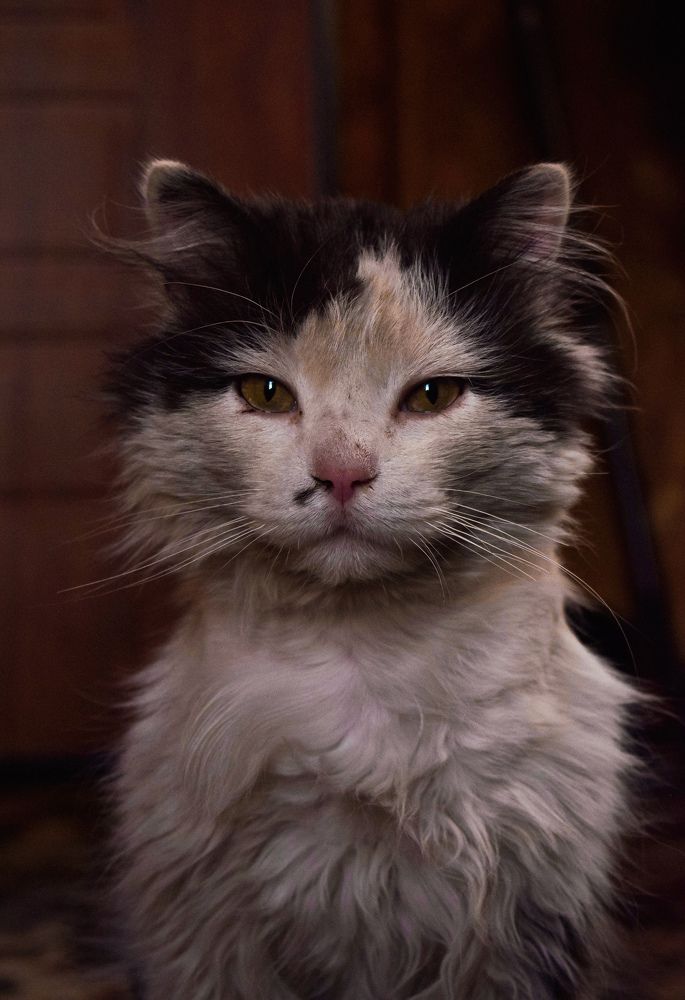 Photograph by Honey Pie