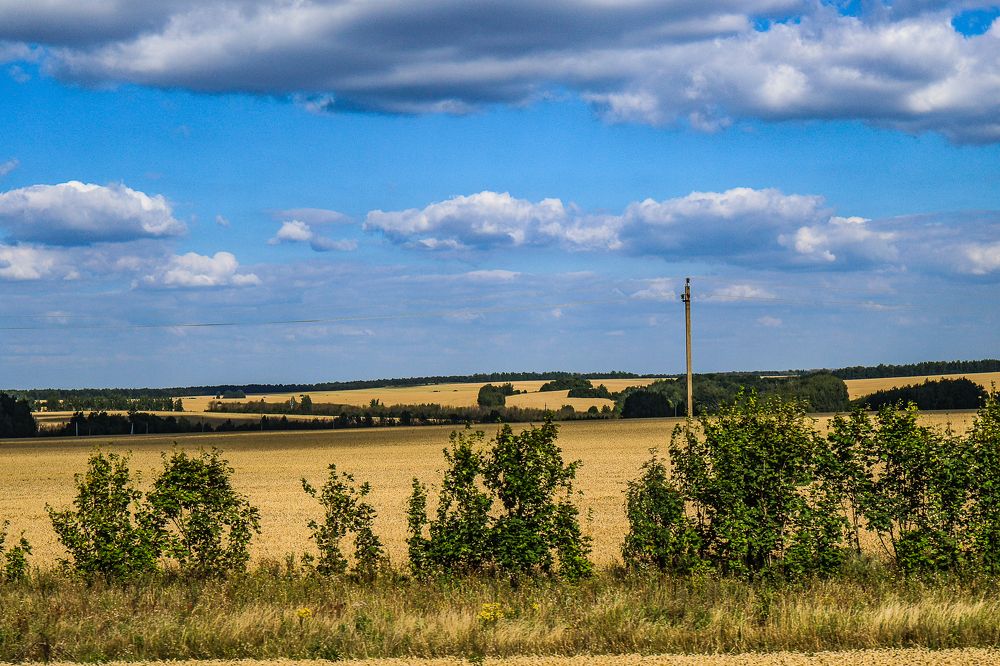 Photograph by Ирина Саломатина