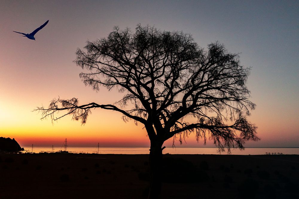 Photograph by Karen Khachaturyants