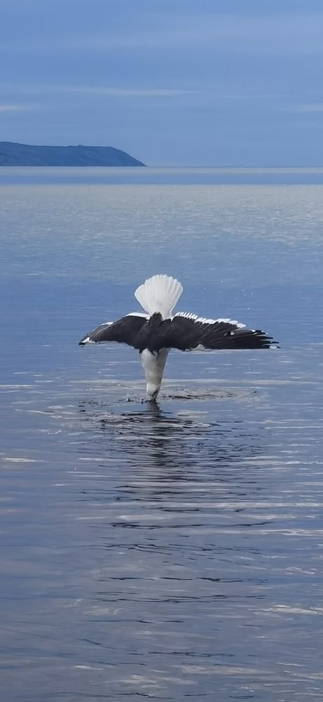 Photograph by Вова Боровский