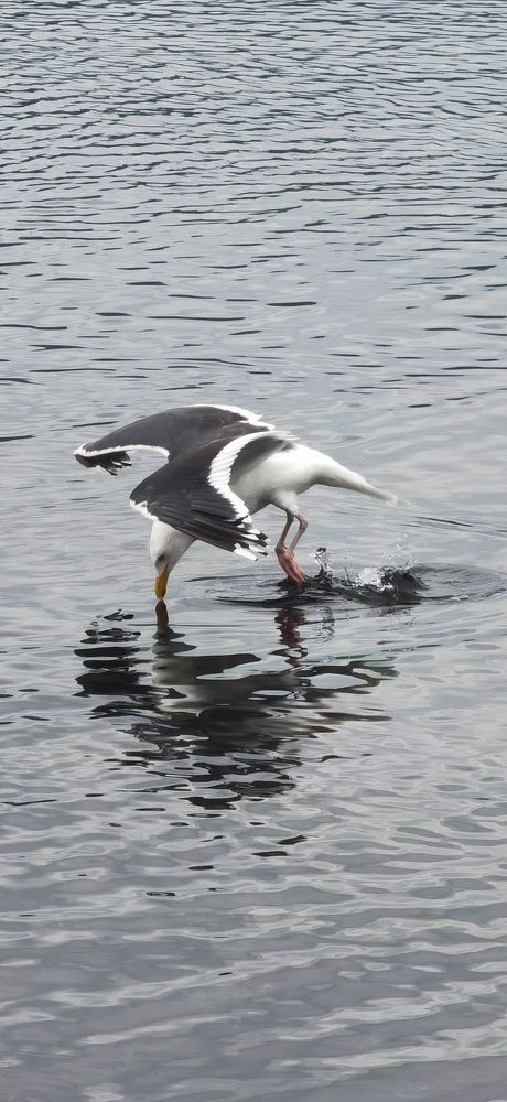 Photograph by Вова Боровский