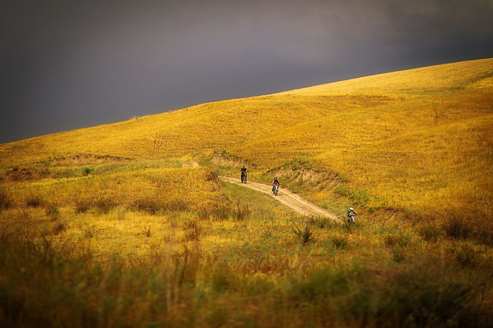 Photograph by Оксана Марасанова