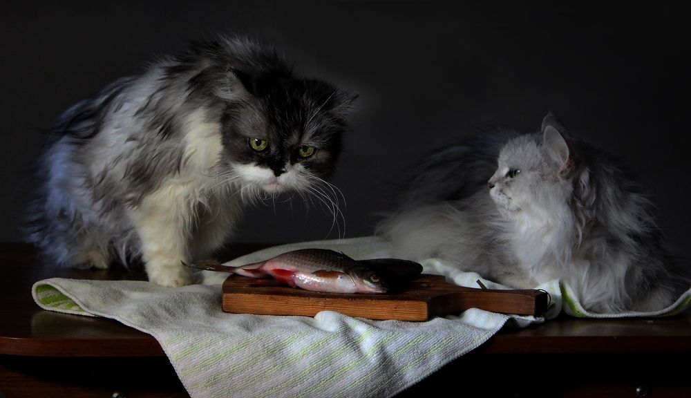 Photograph by Зоя Быкова