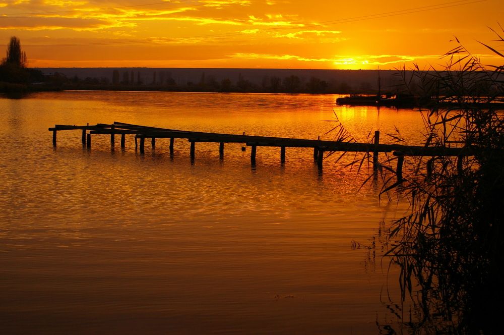 Photograph by Анатолий Святой