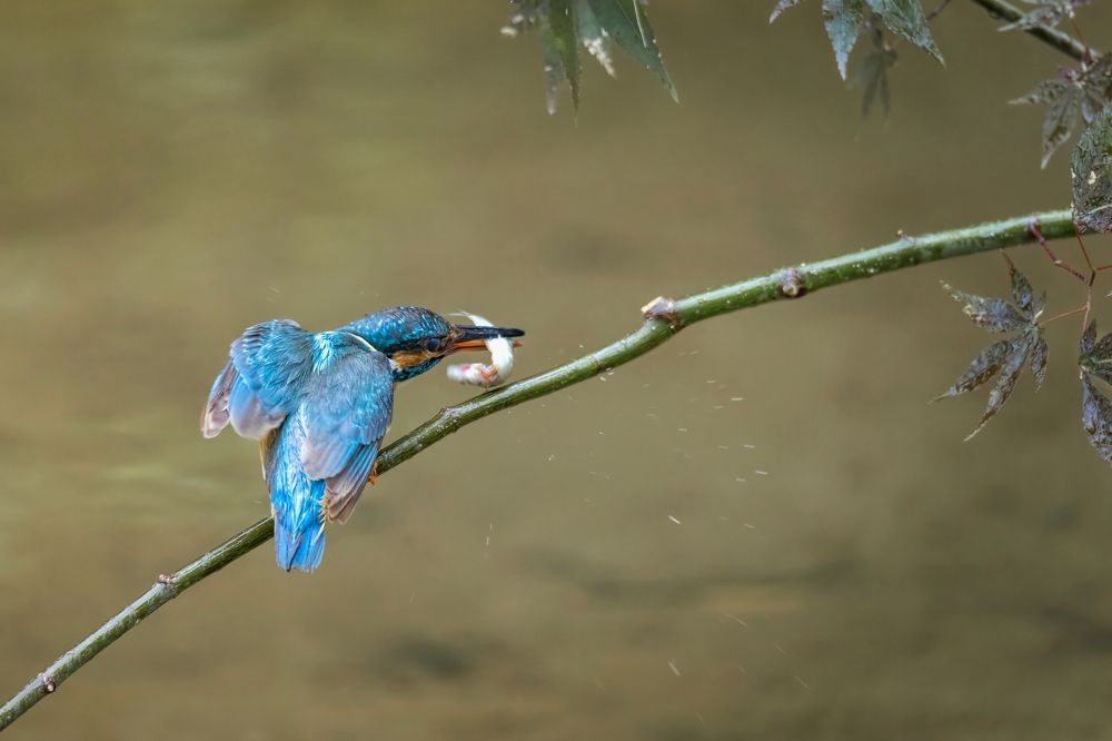 Photograph by Thaw Zin Oo