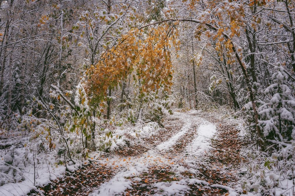 Неожиданный снег...