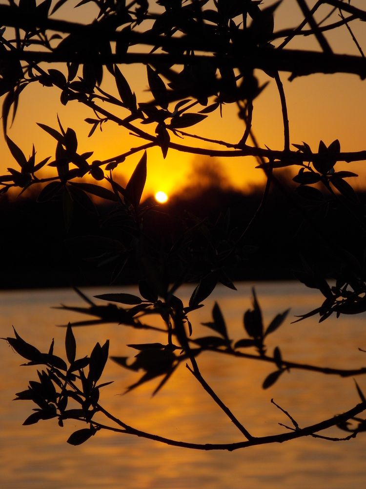 Photograph by Анастасия Кудина