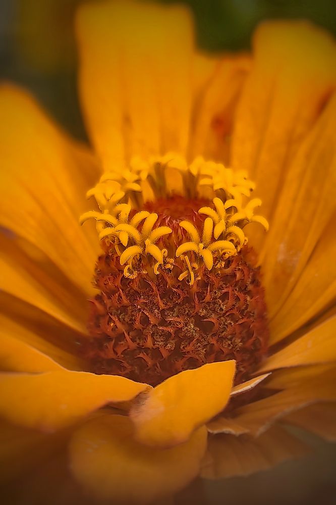 Photograph by Татьяна Бравая