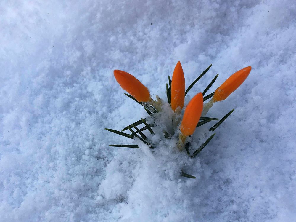 Photograph by Anastasiia