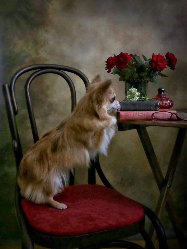 Photograph by Елена Бородина