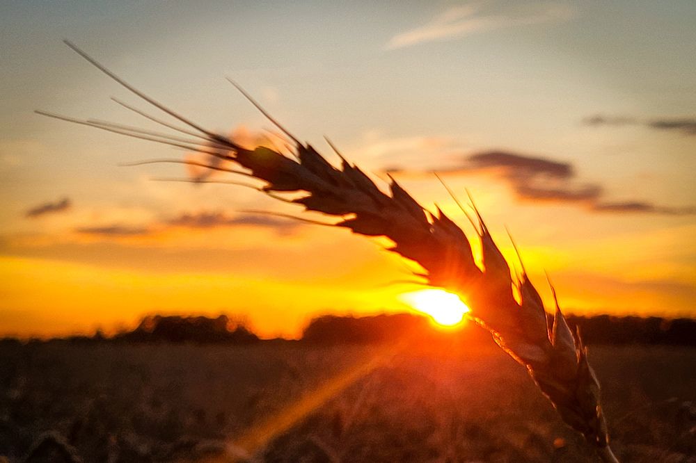 Photograph by Marina Gritchina