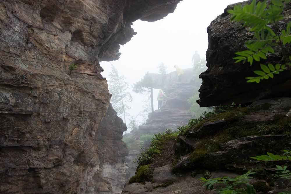 Photograph by Сырчикова Наталья