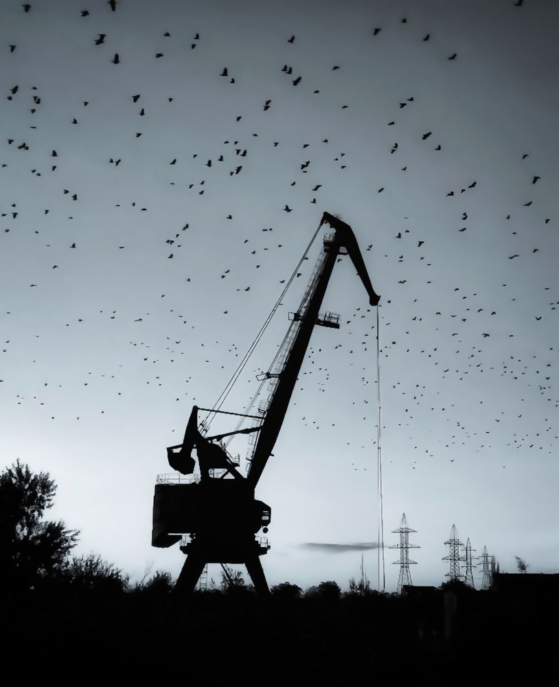 Photograph by Андрей Евтеев