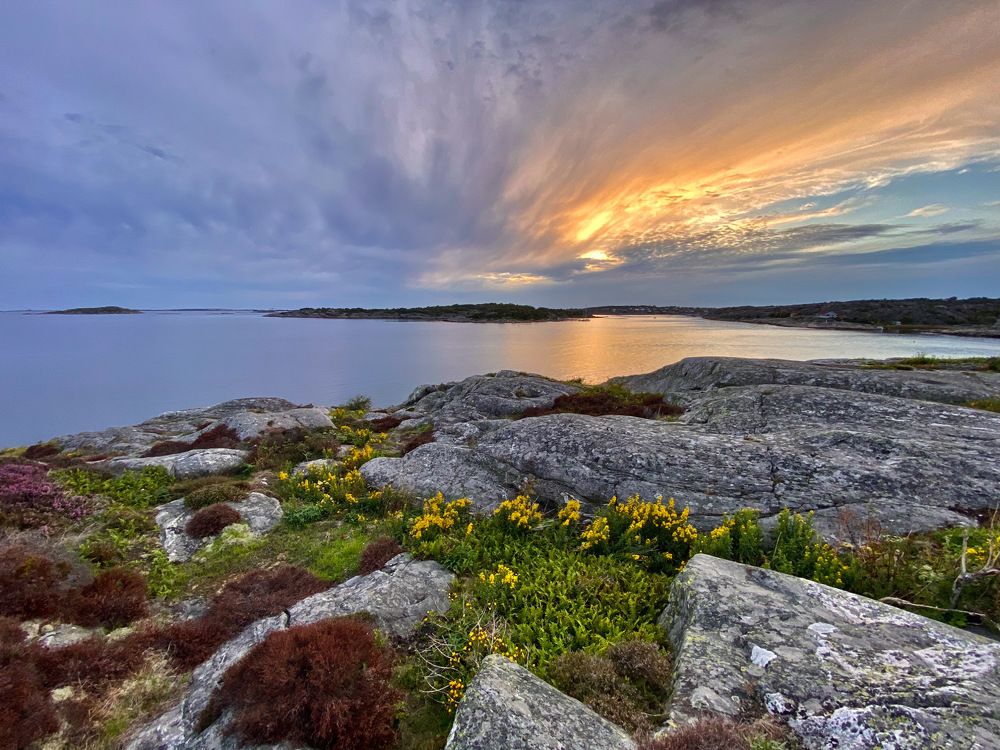 Photograph by Janina Segeda