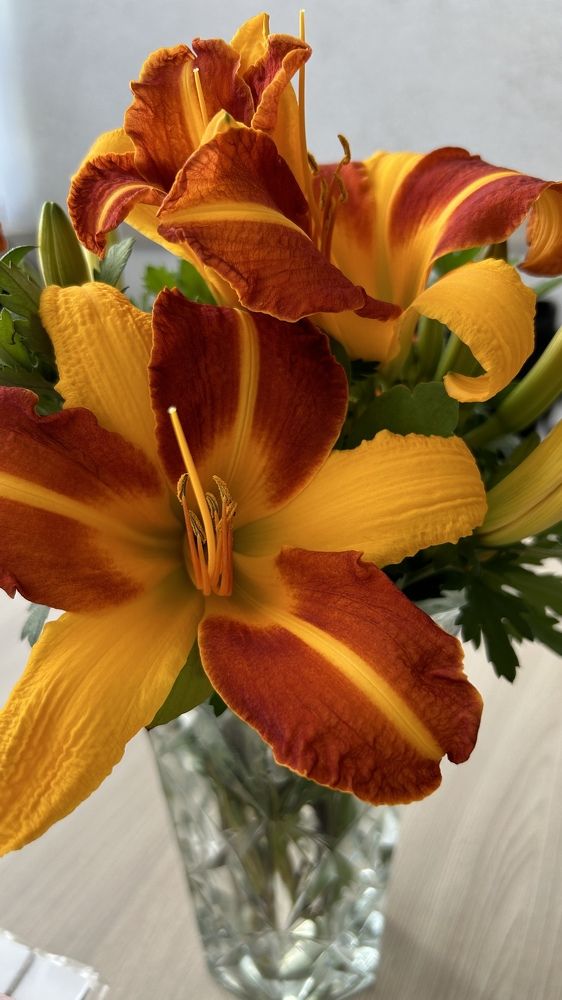 Photograph by Елена Гущина