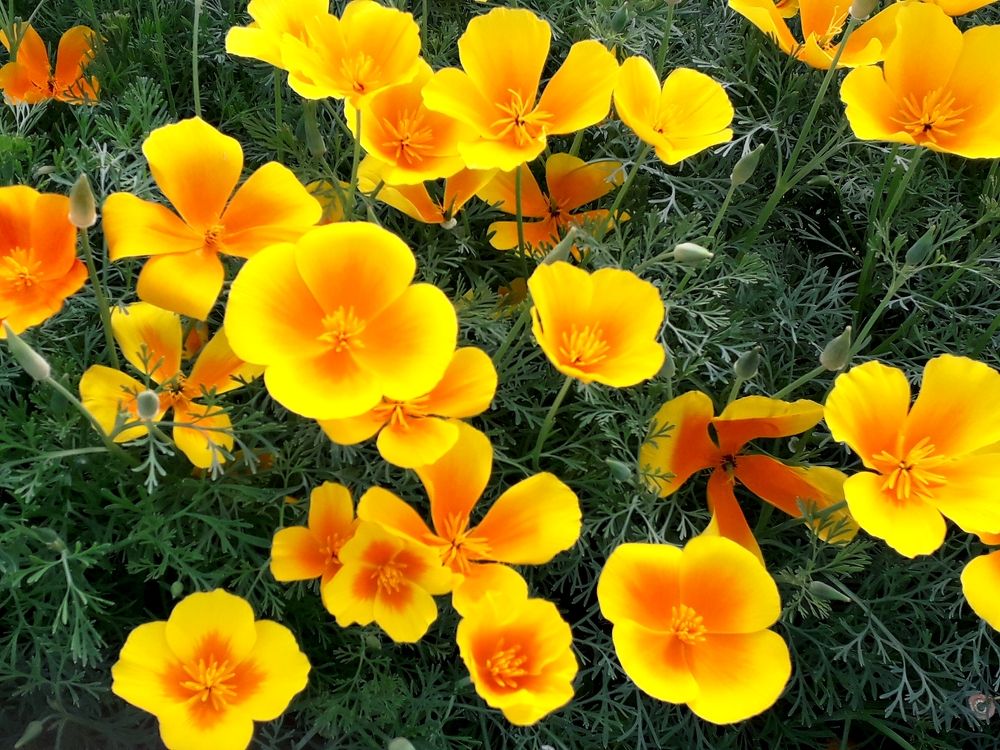 Photograph by Бутовец Алёна