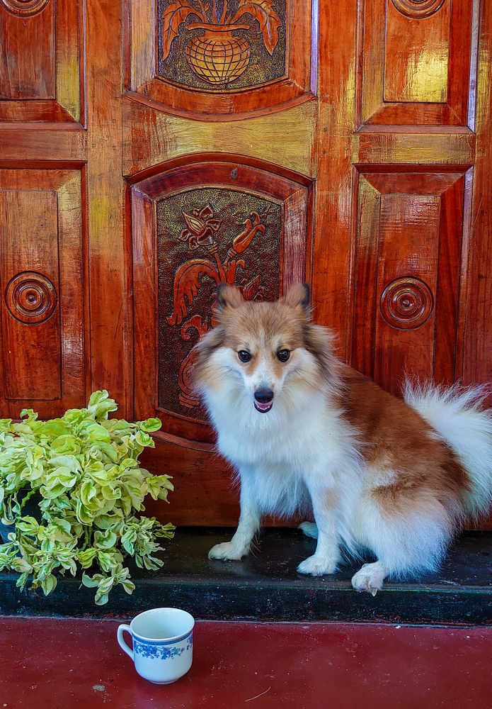 Photograph by K.AKILA NIDUSH