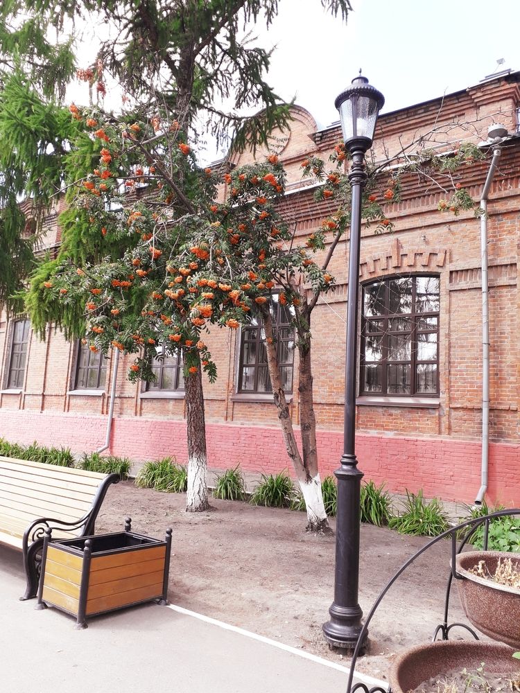 Photograph by Бутовец Алёна