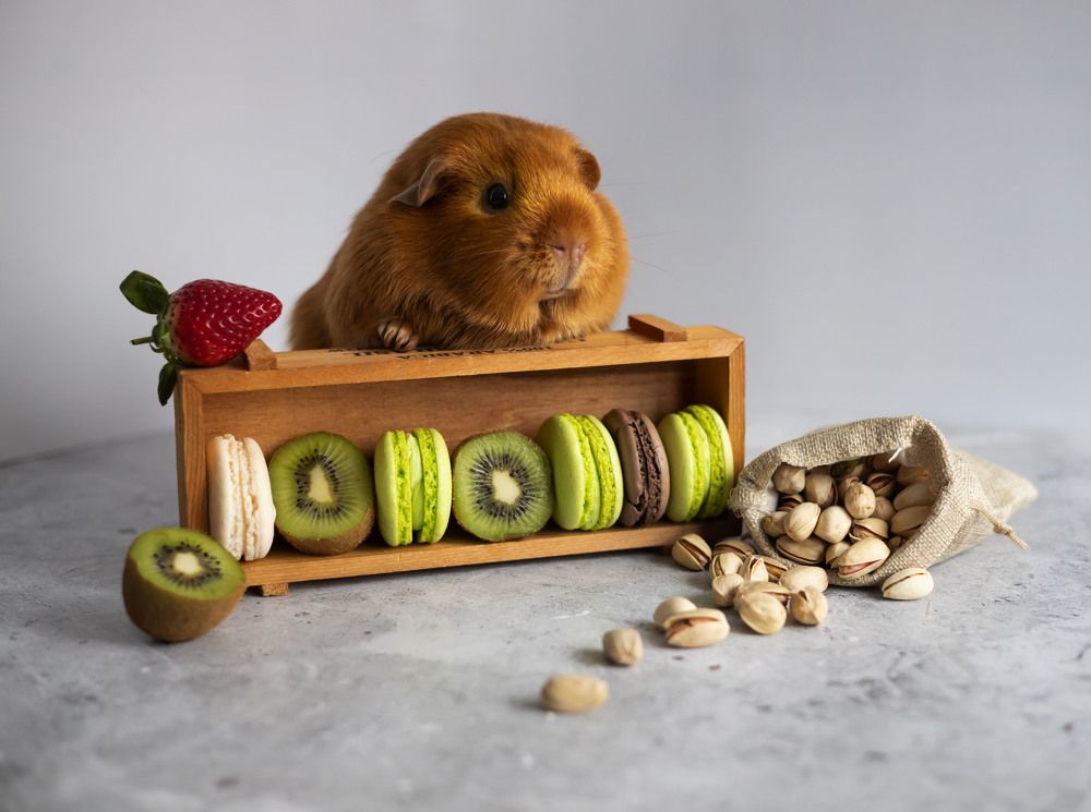 Photograph by Александра Гончаренко