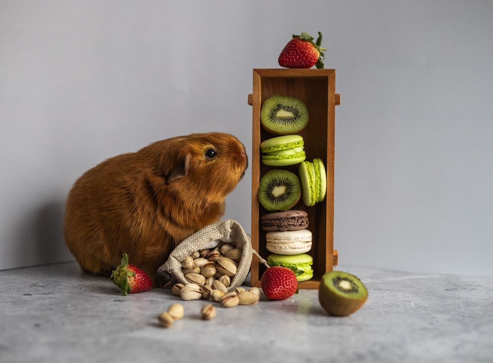 Photograph by Александра Гончаренко