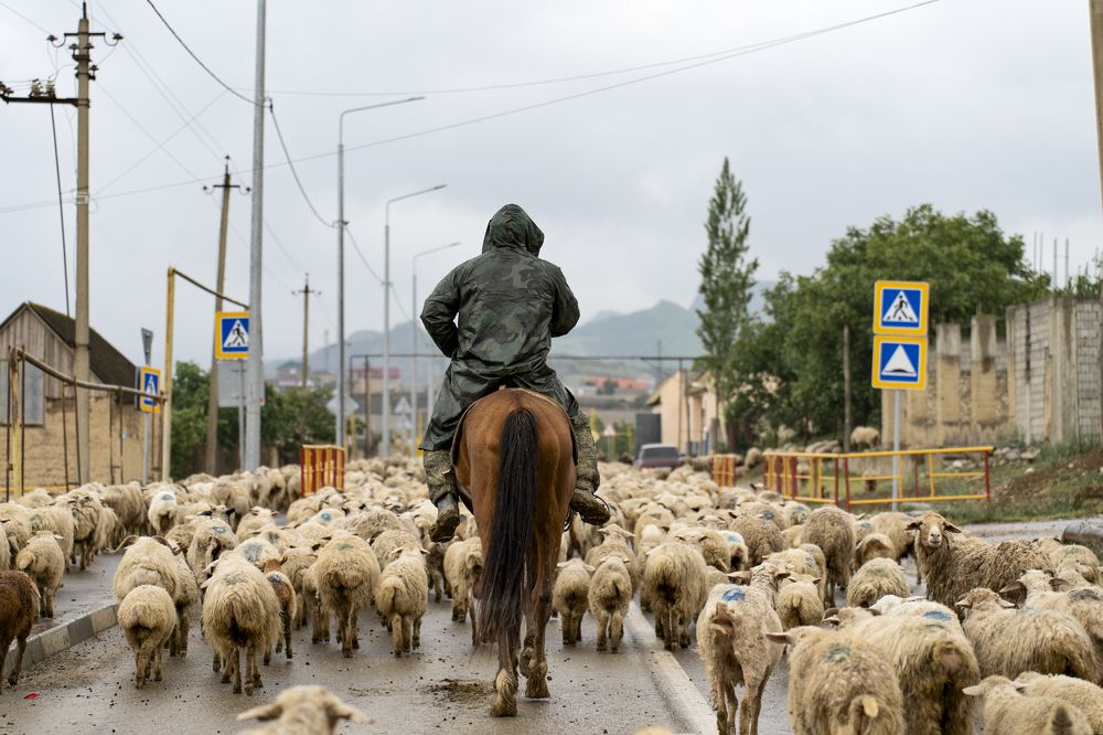 Фотография автора Юрий Коробейчук