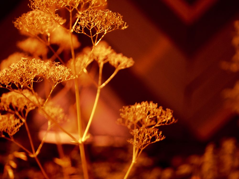 Photograph by Баженова Наталья