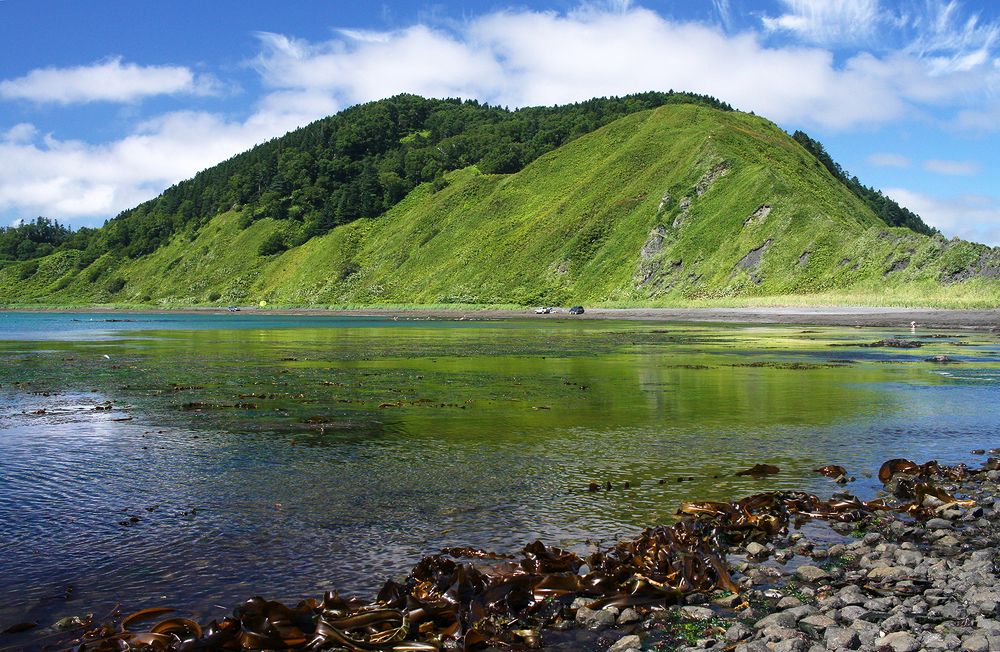 Краски Сахалина