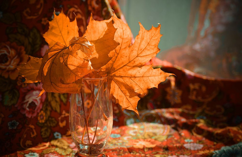 Photograph by Margo Margo