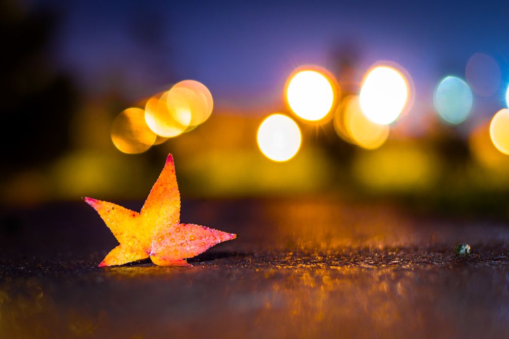 Фотография автора Bgs Zsolt