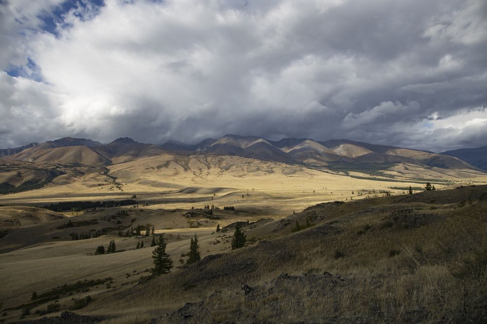 Photograph by Александр Трегубов