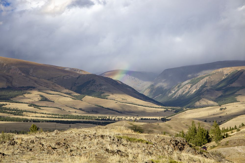 Photograph by Александр Трегубов