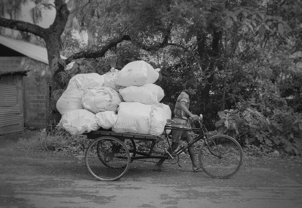 Photograph by Anunay Mistry
