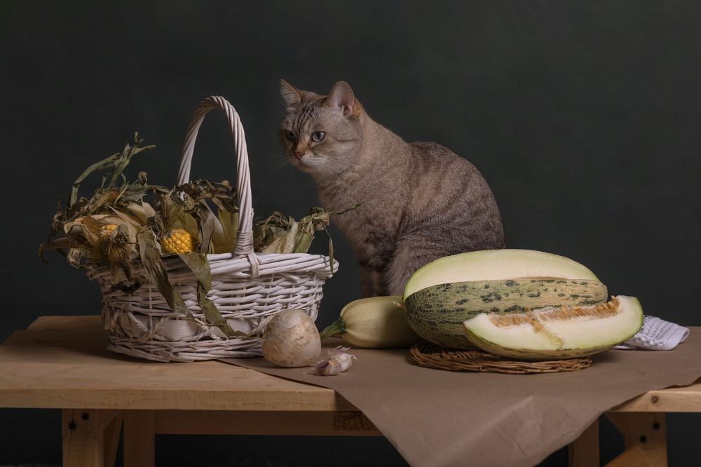 Photograph by Наталья Петренко