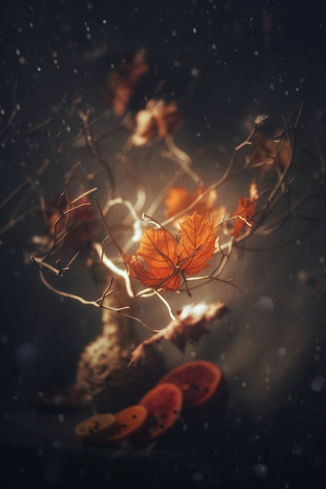 Photograph by Татьяна Максакова