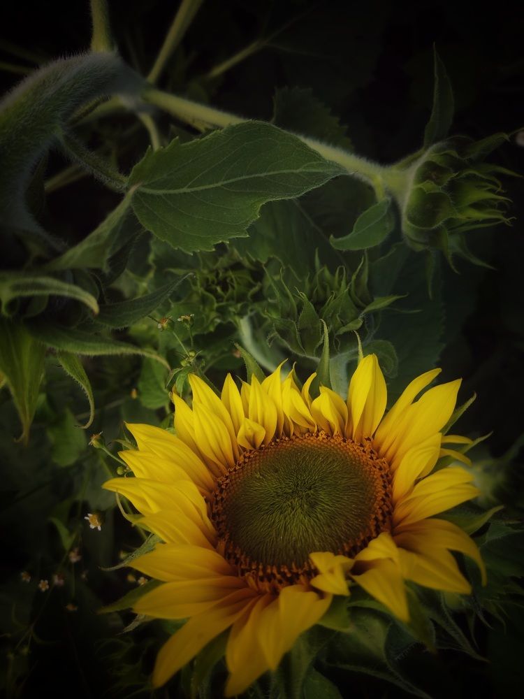 Photograph by Татьяна Сычева