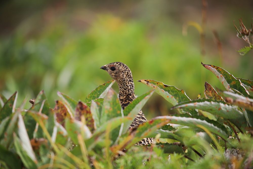 Photograph by Соколова Елена