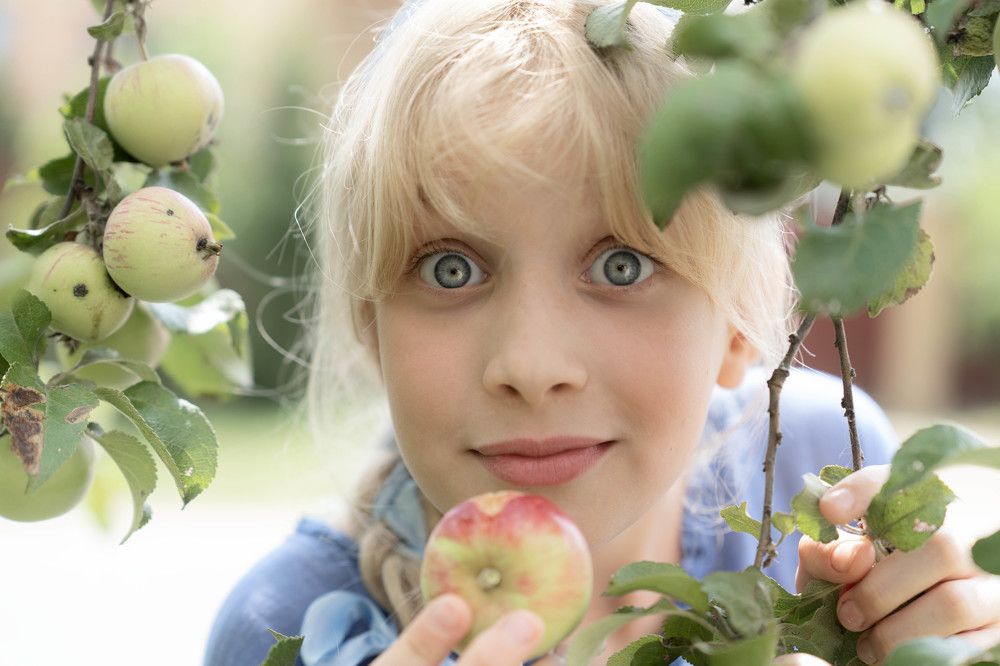 Фотография автора Могилевцева Дарья