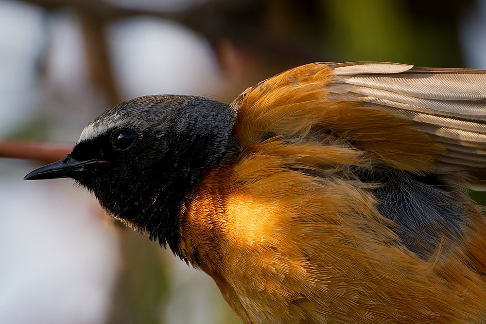 Photograph by Александр Перегудов