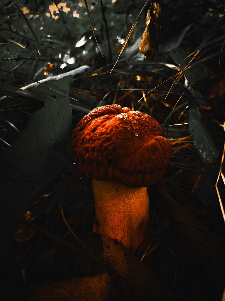 Photograph by Наталья Чередниченко