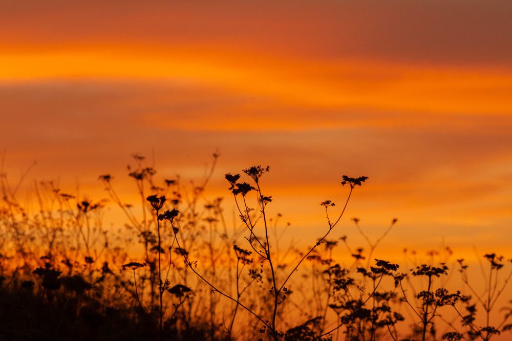 Фотография автора Алексей Тимофеев